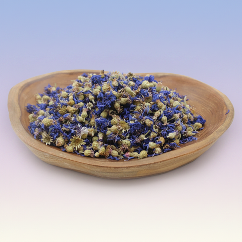 Dried Flowers & Botanicals