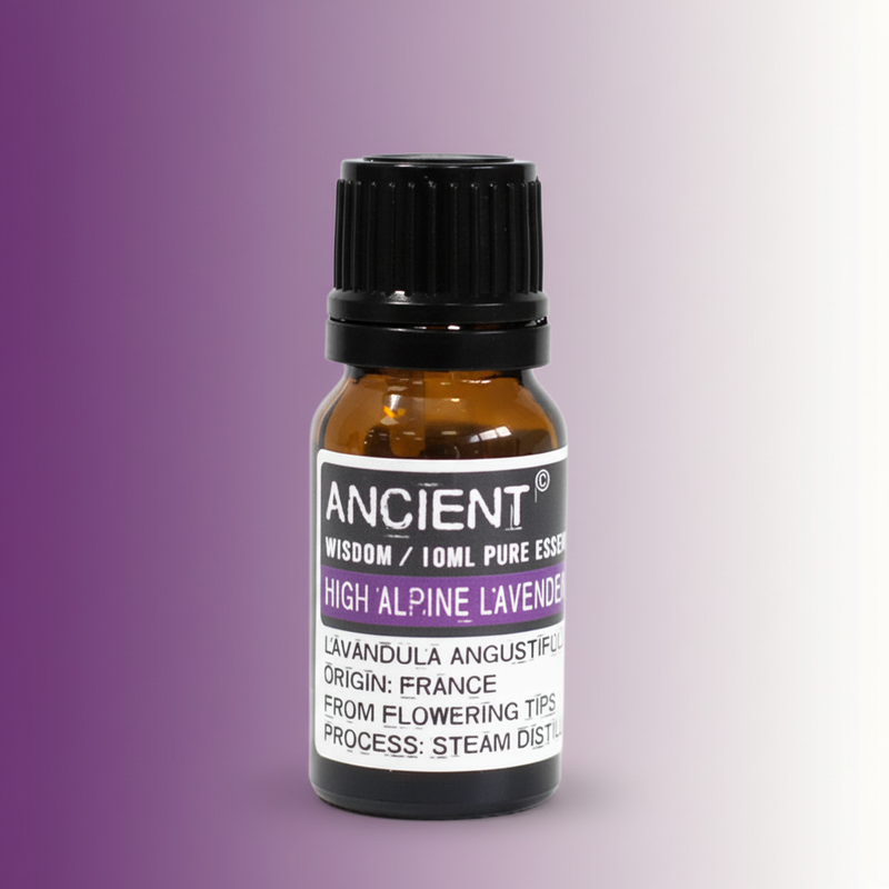 High Alpine Lavender Essential Oil — Gradient Background