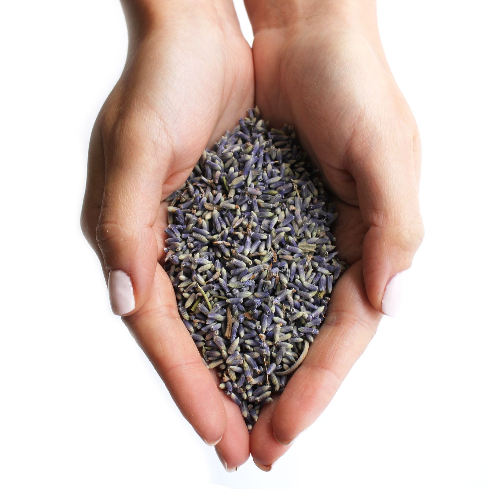 Lavender Flowers (1KG) – Dried Flowers – dried flowers, alternate product view 4