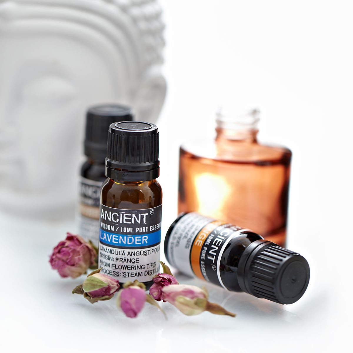 Tea Tree Aromatherapy Essential Oil 10ml – gallery image 3
