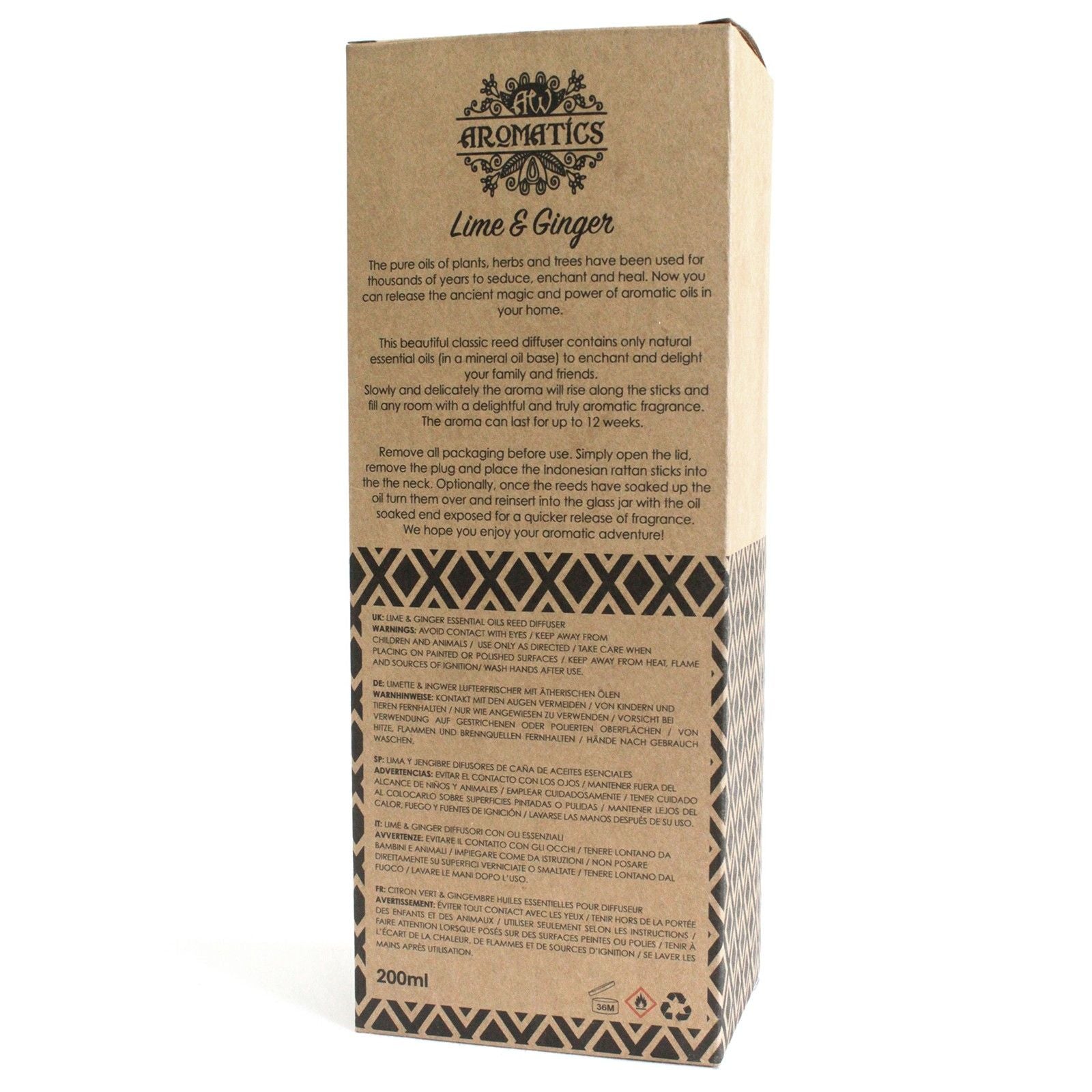 200ml Lime & Ginger Essential Oil Reed Diffuser – reed diffuser, main product view