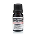 Valerian Aromatherapy Essential Oil 10ml – product image