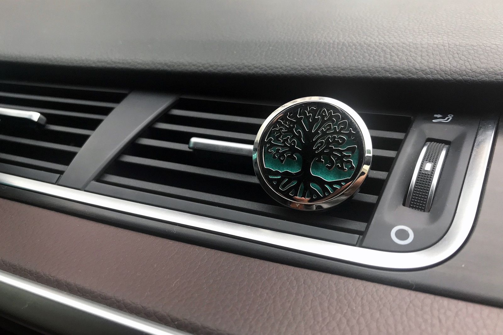 Car Diffuser Kit – Dragonfly – 30mm – car diffuser, main product view