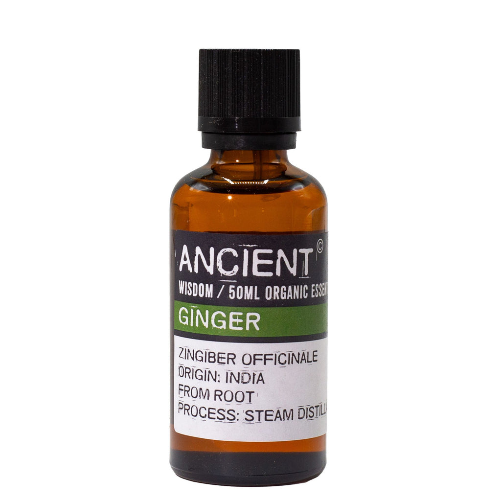 Ginger Aromatherapy Essential Oil 50ml – product image