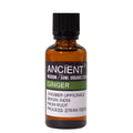 Ginger Aromatherapy Essential Oil 50ml – product image