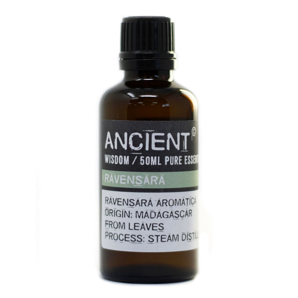 Pure Ravensara Aromatherapy Essential Oil – gallery image 3