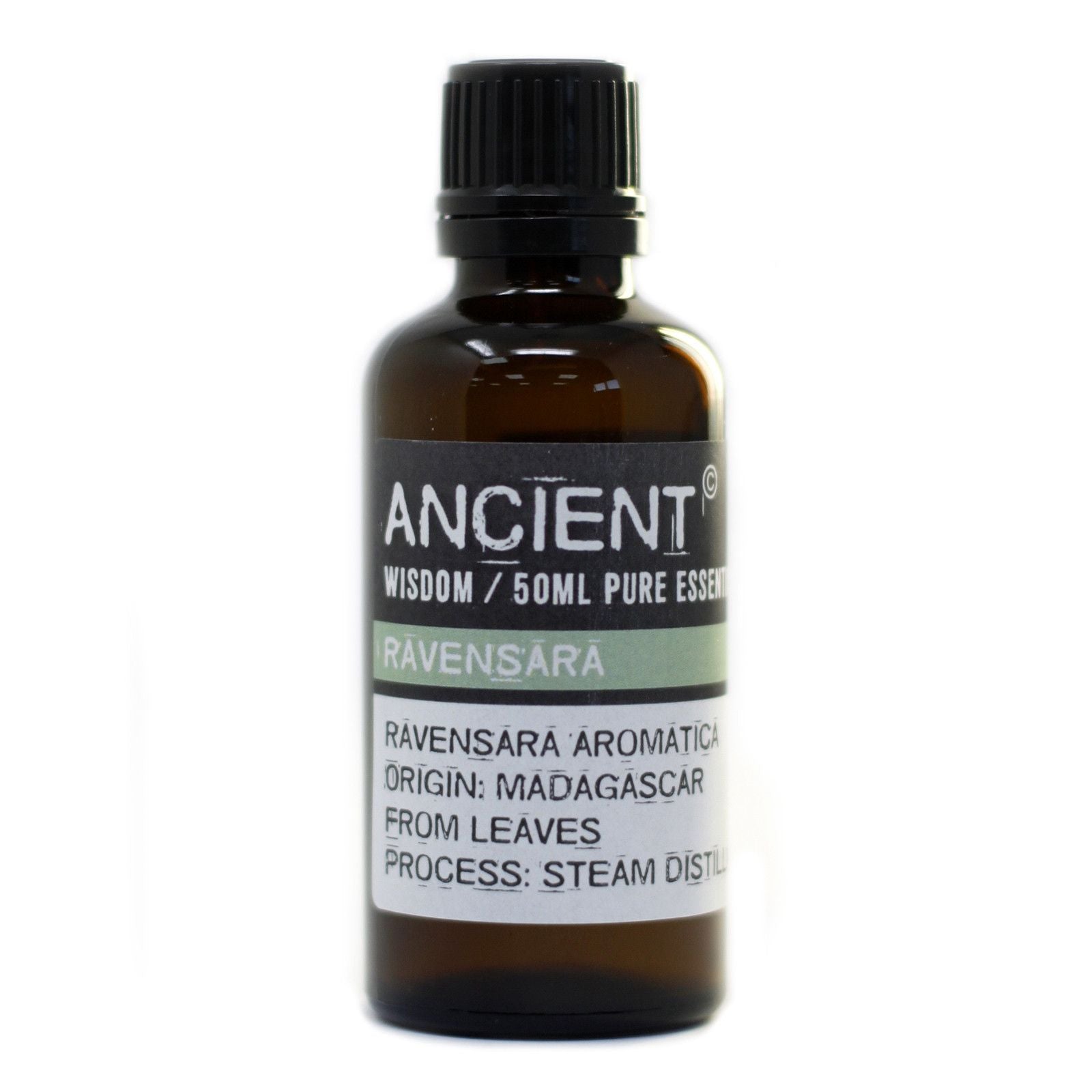 Pure Ravensara Aromatherapy Essential Oil – gallery image 3