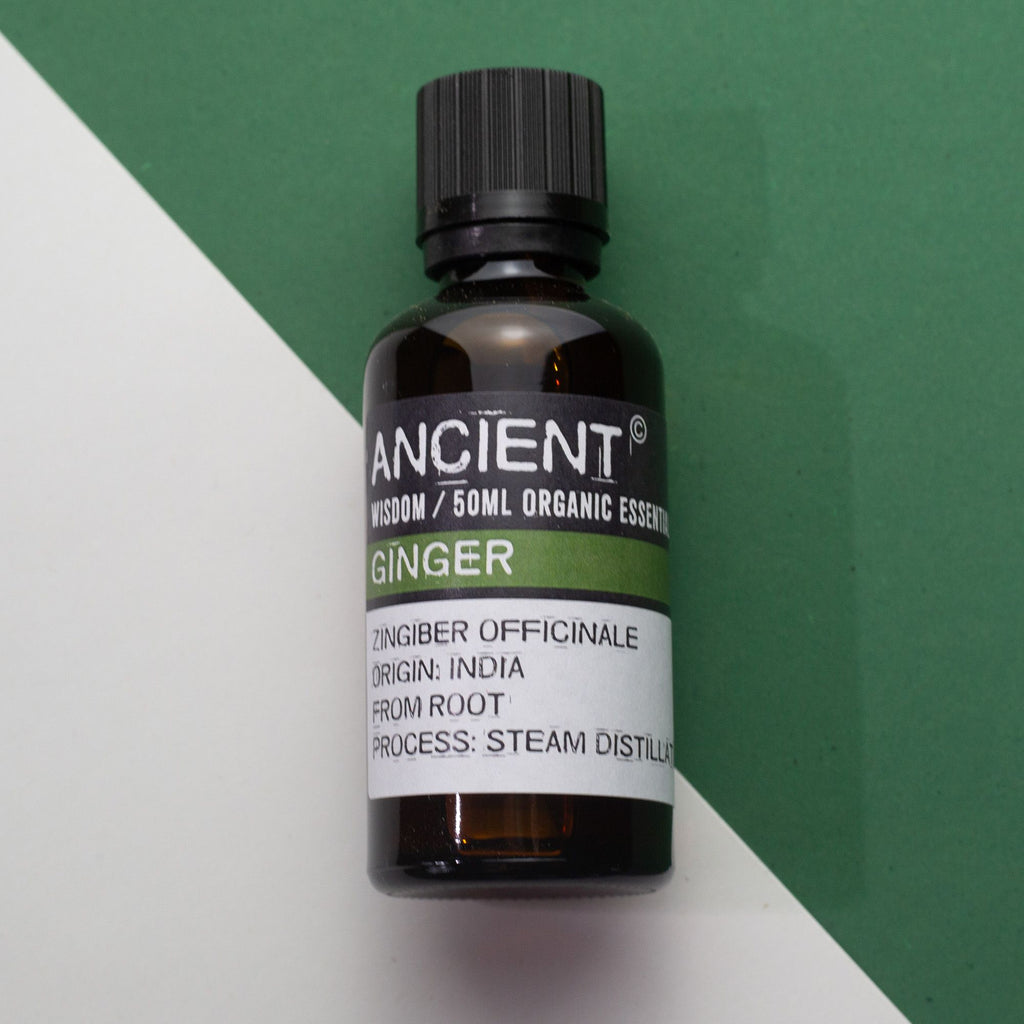 Ginger Aromatherapy Essential Oil 50ml – gallery image 2
