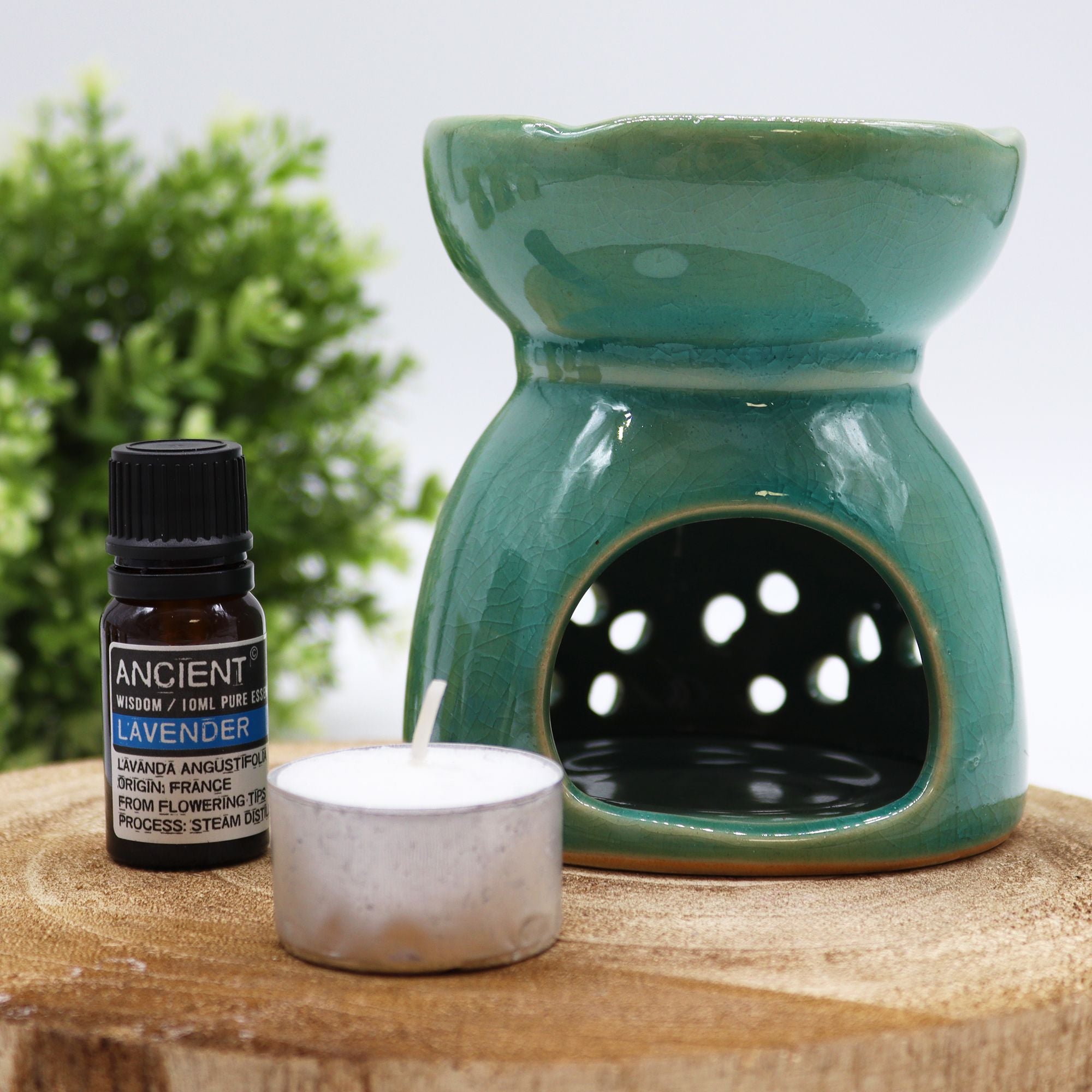 Tree of Life Oil Burner – Blue – blue oil burner, main product view