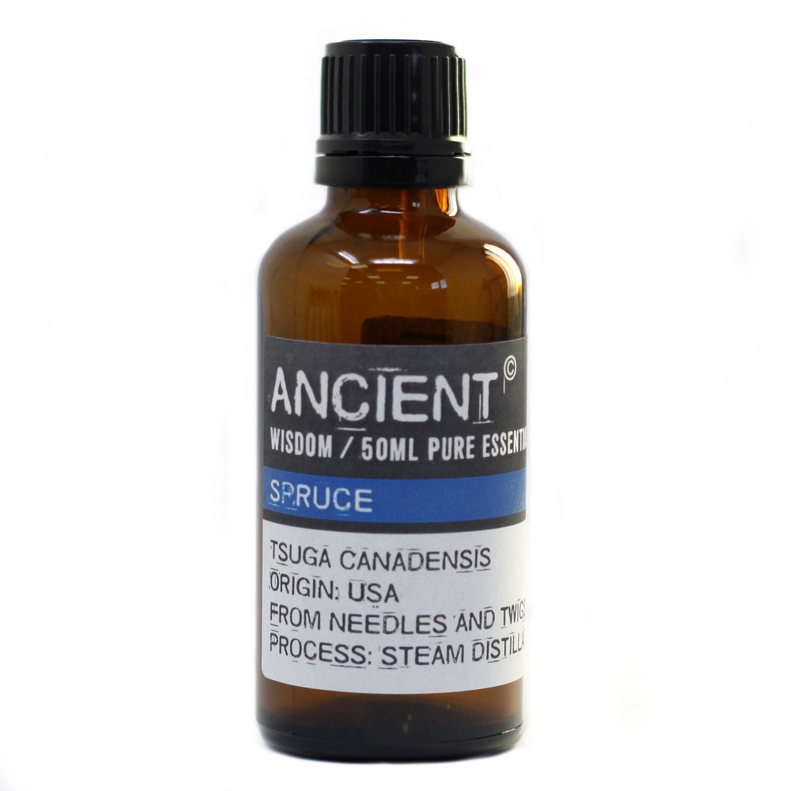 Spruce Aromatherapy Essential Oil 50ml – gallery image 3