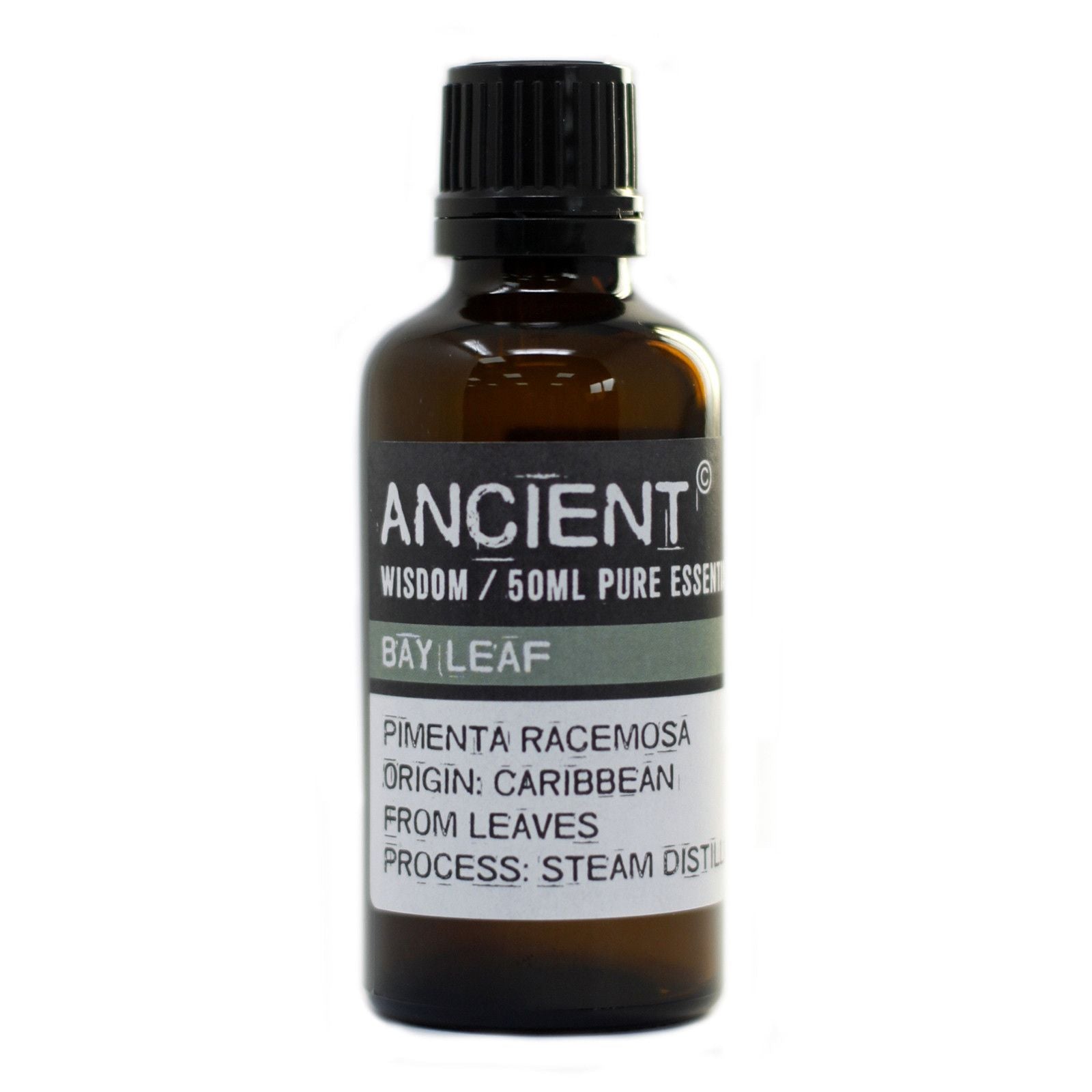 Bay Leaf Aromatherapy Essential Oil 50ml – gallery image 3