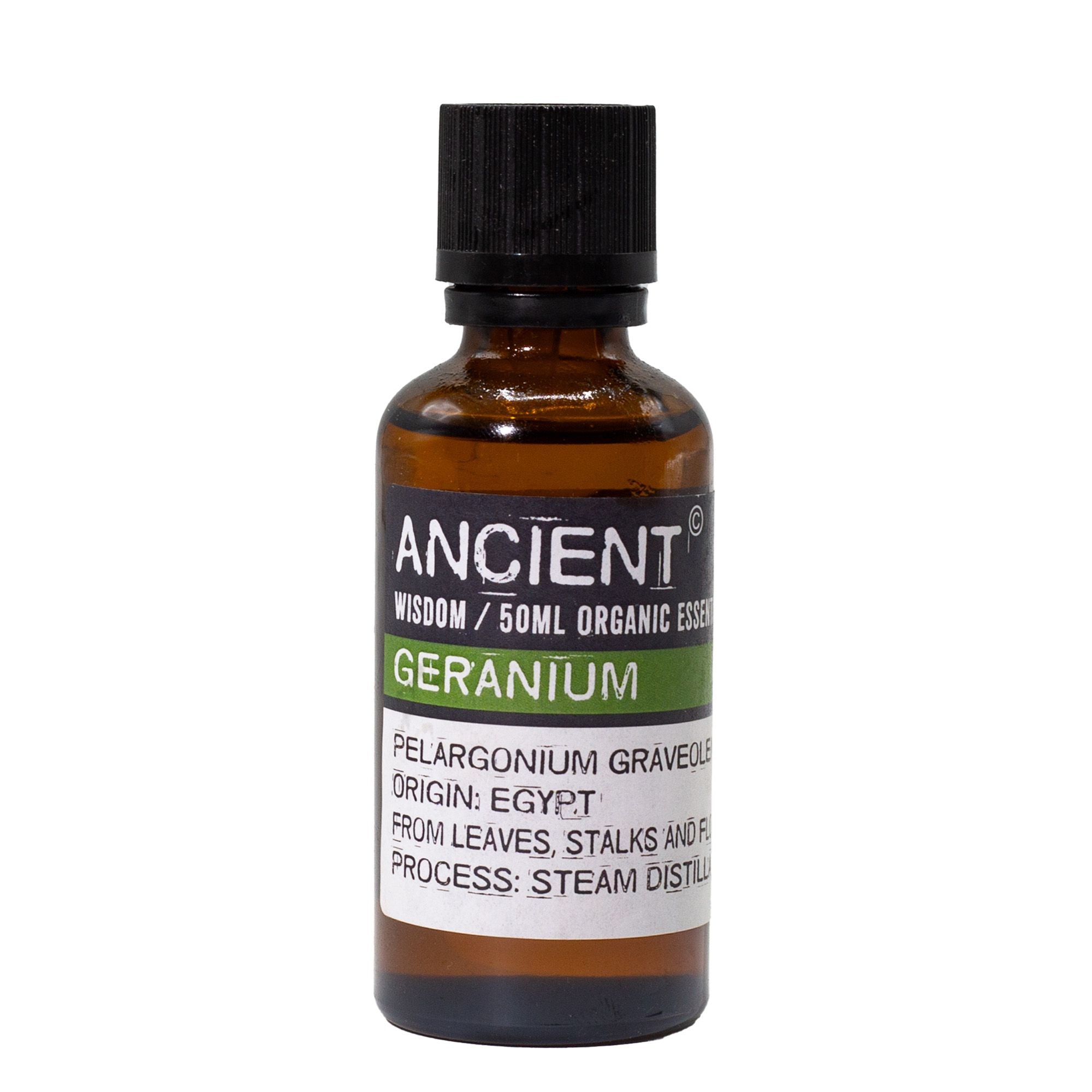 Geranium Aromatherapy Essential Oil 50ml – gallery image 4