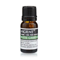 White Camphor Aromatherapy Essential Oil 10ml – product image