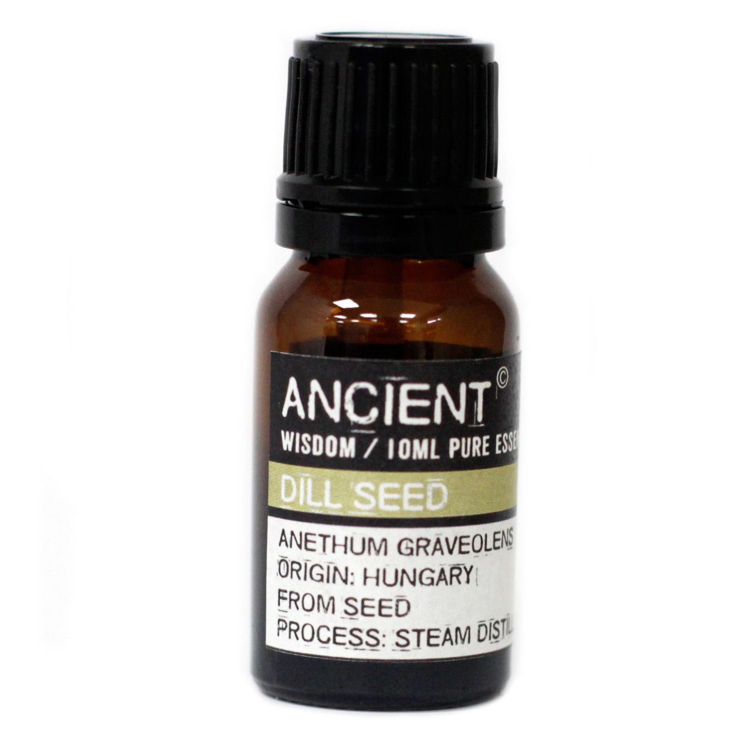 Dill Seed Aromatherapy Essential Oil 10ml – product image