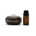 Mini Aromatherapy Essential Oil Nebuliser Diffuser with Motion Sensor – product image
