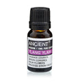 Ylang Ylang III Aromatherapy Essential Oil 10ml – product image