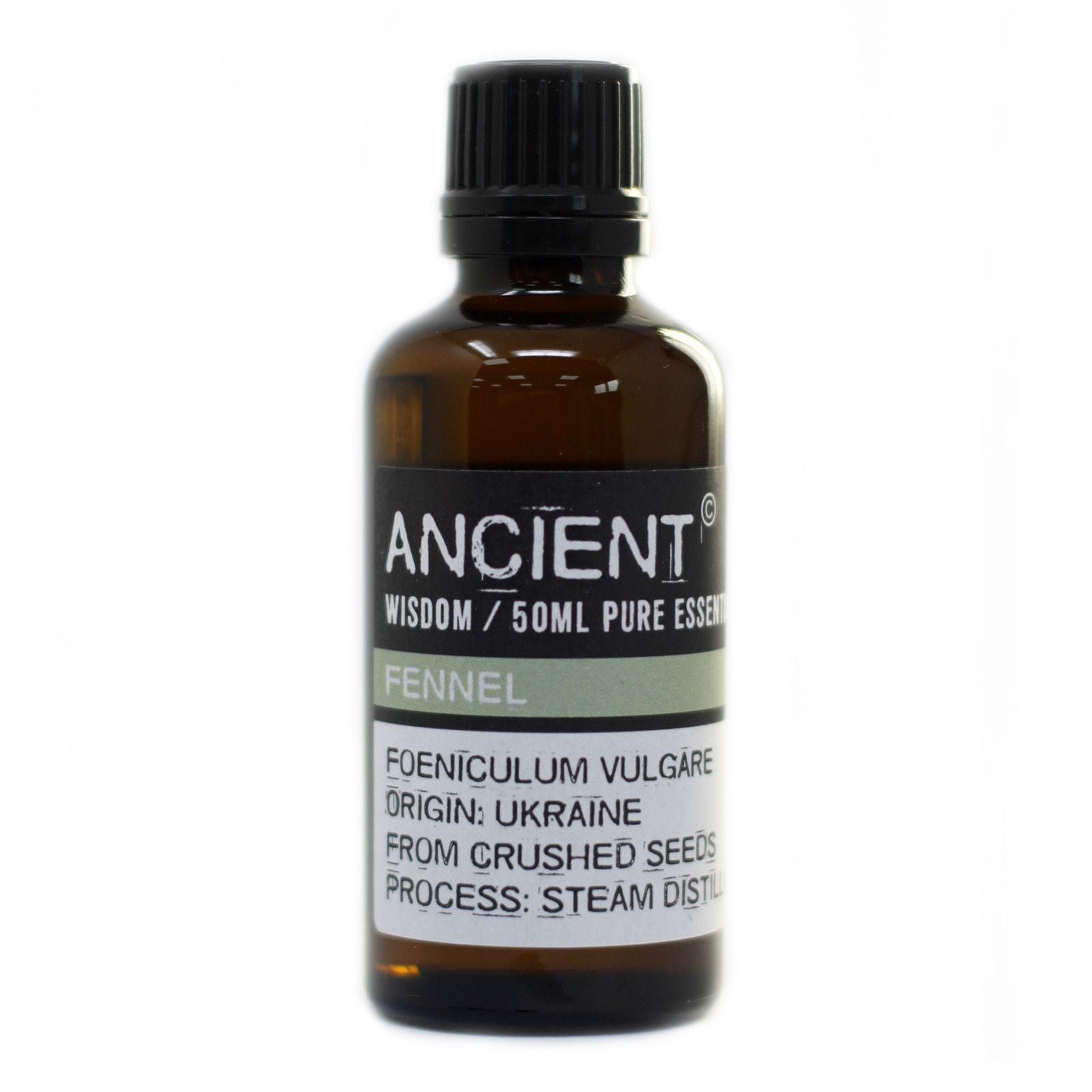 Pure Fennel Aromatherapy Essential Oil – gallery image 3