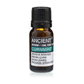 Cornmint Aromatherapy Essential Oil 10ml – product image