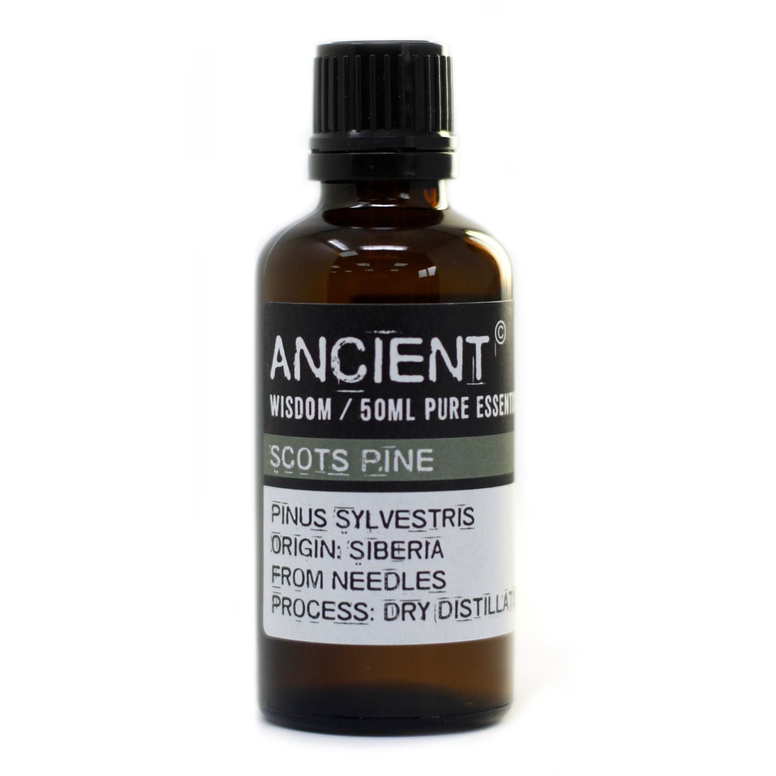 Pure Scots Pine Aromatherapy Essential Oil – gallery image 3