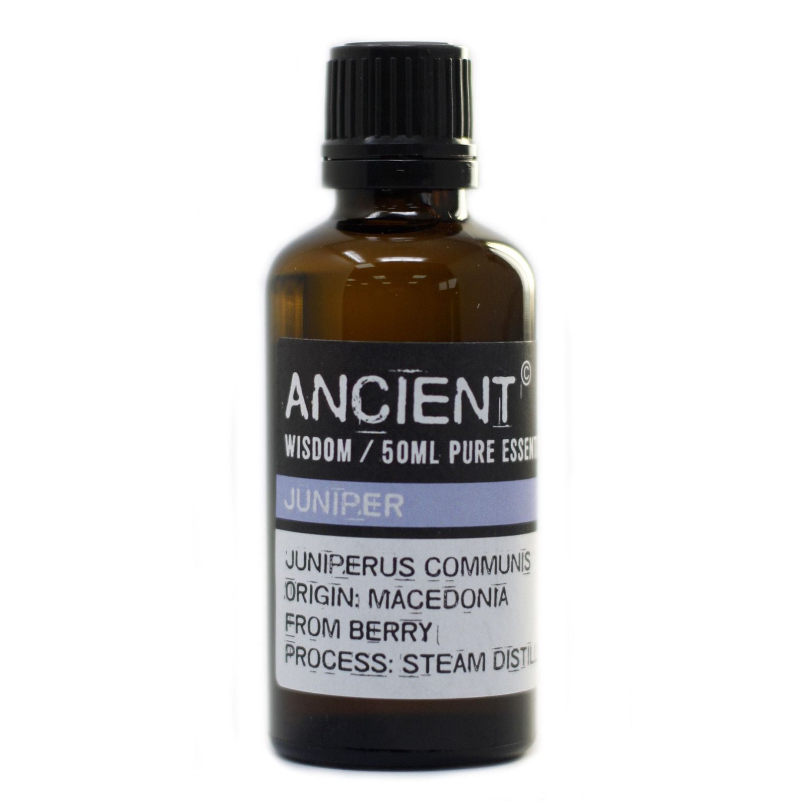 Juniper Berry Aromatherapy Essential Oil 50ml – gallery image 3