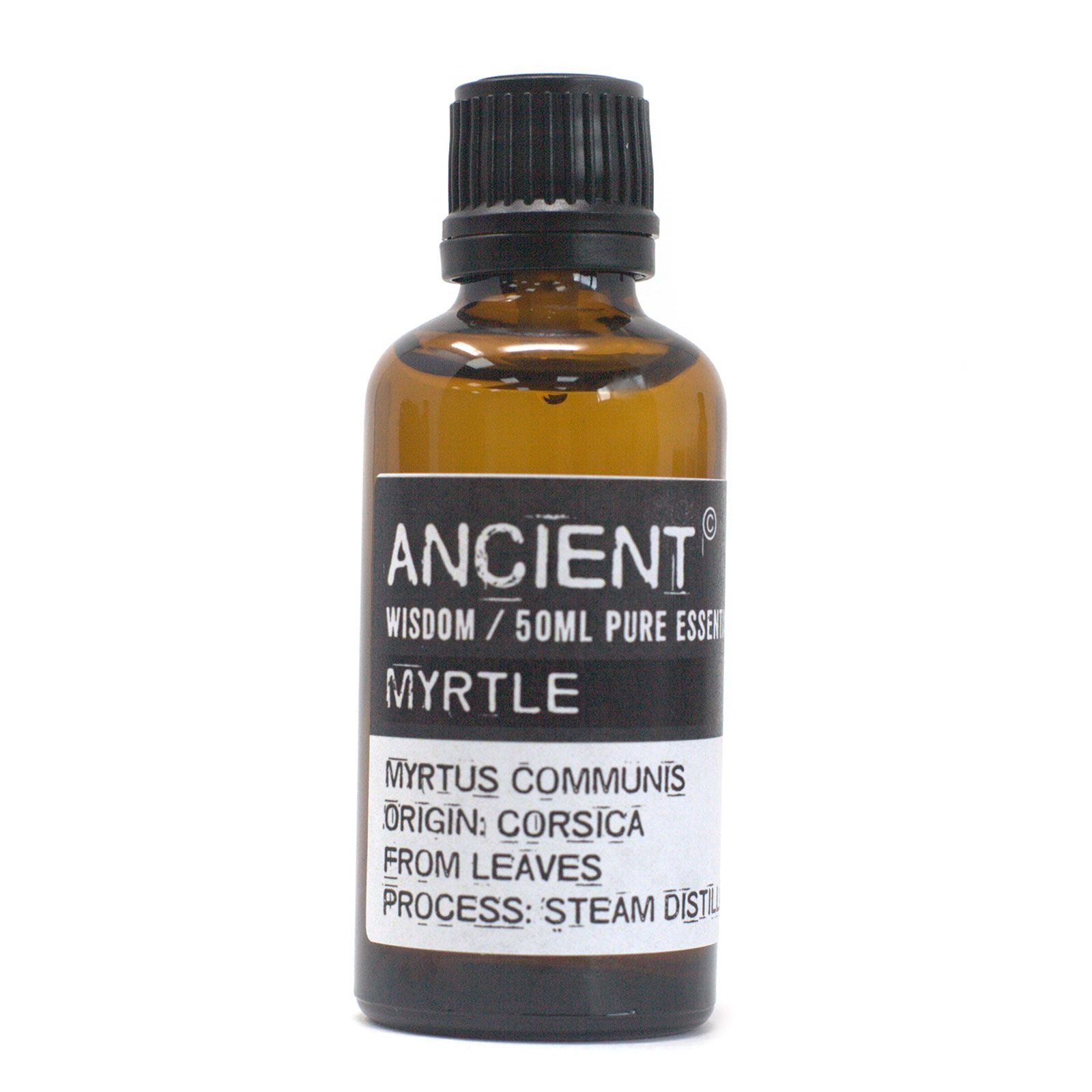 Myrtle Aromatherapy Essential Oil (50ml) – product image
