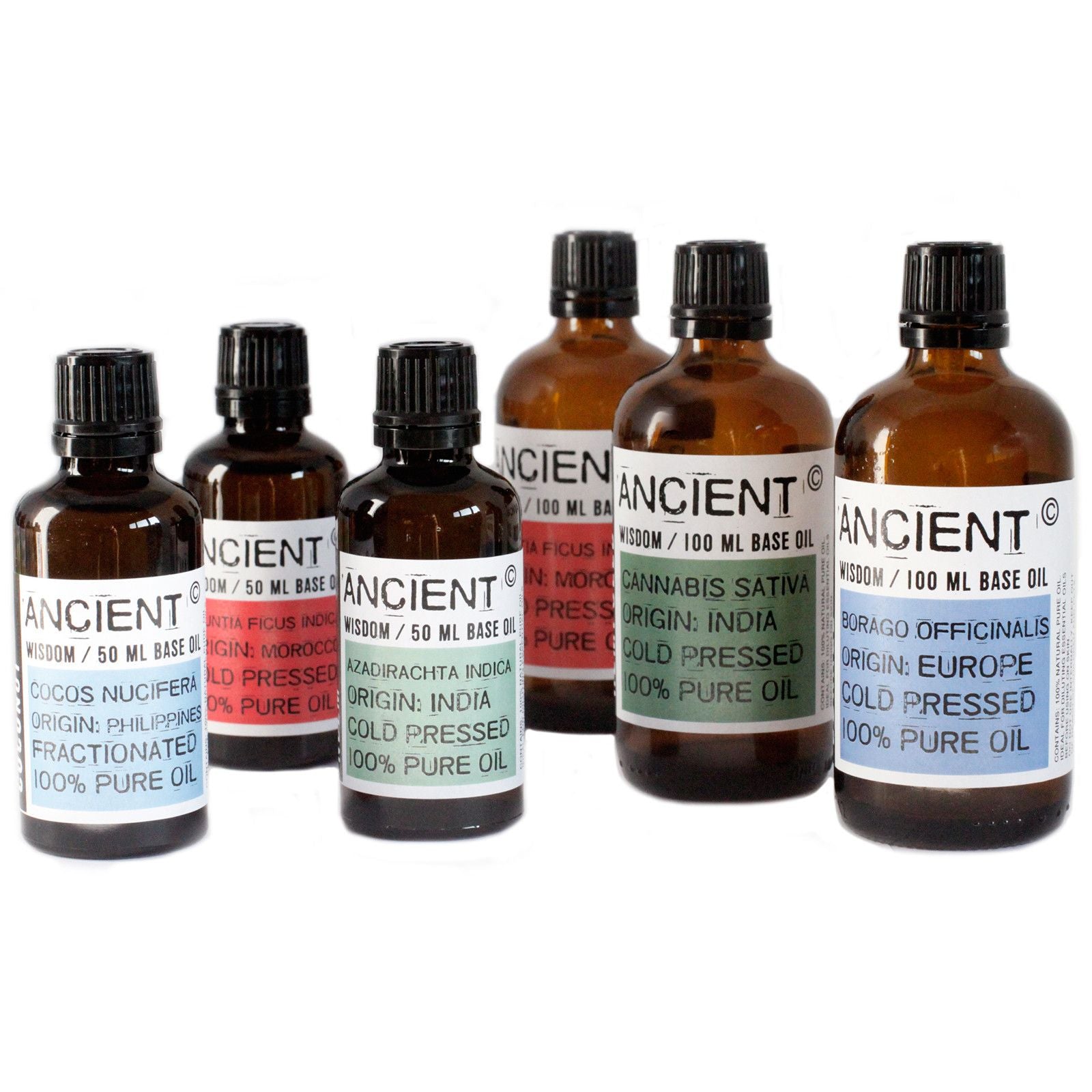 Apricot Kernel Carrier Oil for Massage & Blending 50ml – gallery image 2