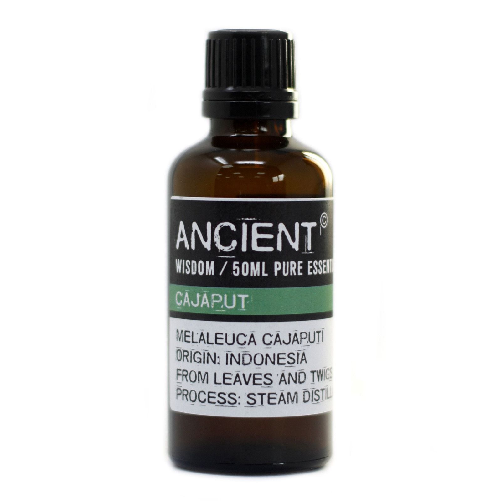 Pure Cajeput Aromatherapy Essential Oil – gallery image 3