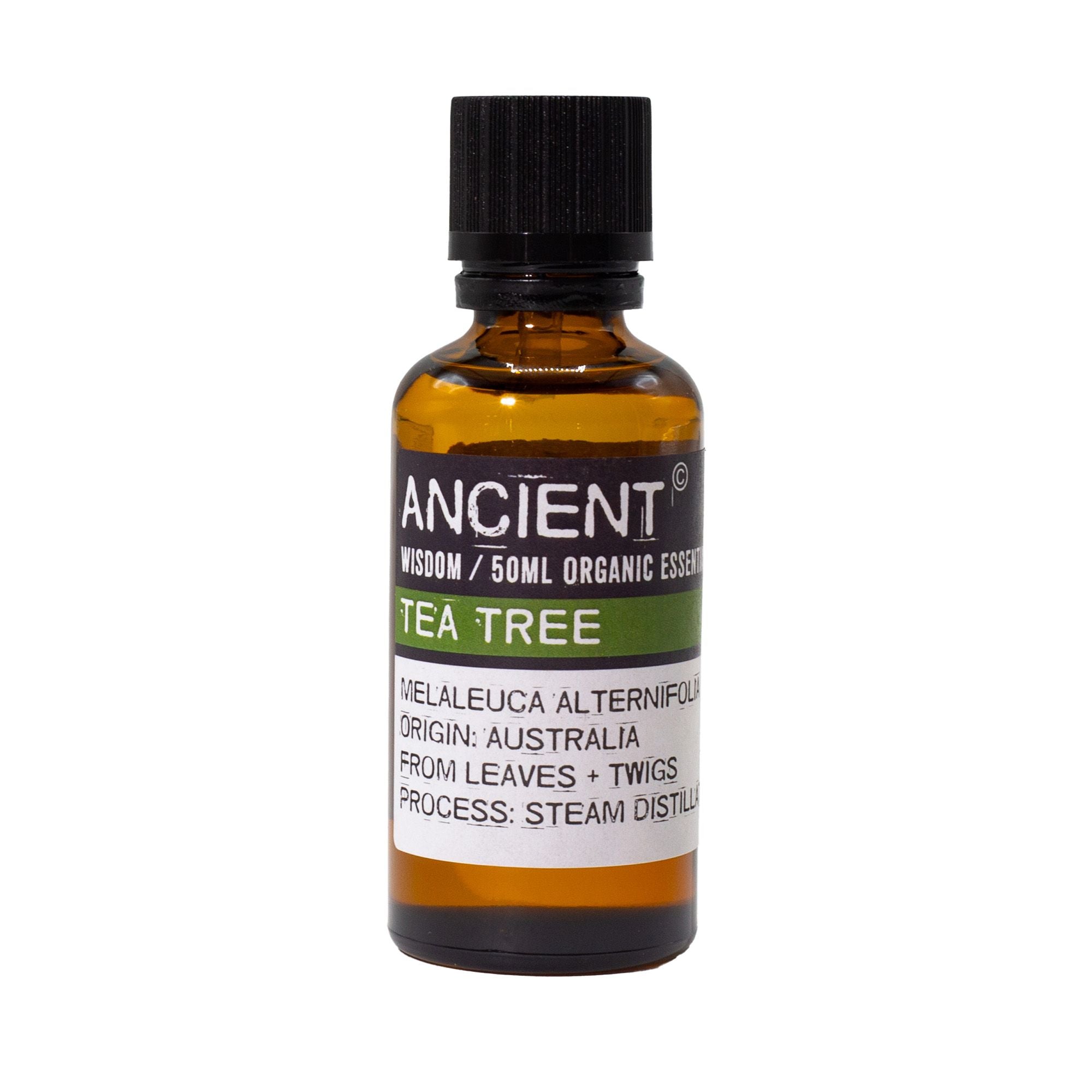Tea Tree Aromatherapy Essential Oil 50ml – gallery image 2