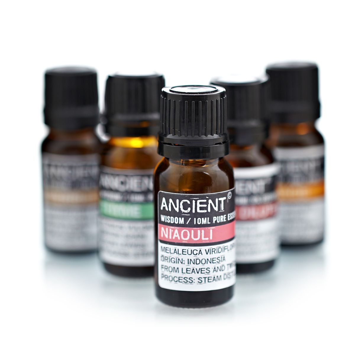 Niaouli Aromatherapy Essential Oil 10ml – gallery image 3