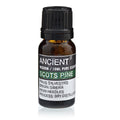Pine Sylvestris (Scots Pine) Aromatherapy Essential Oil 10ml – product image