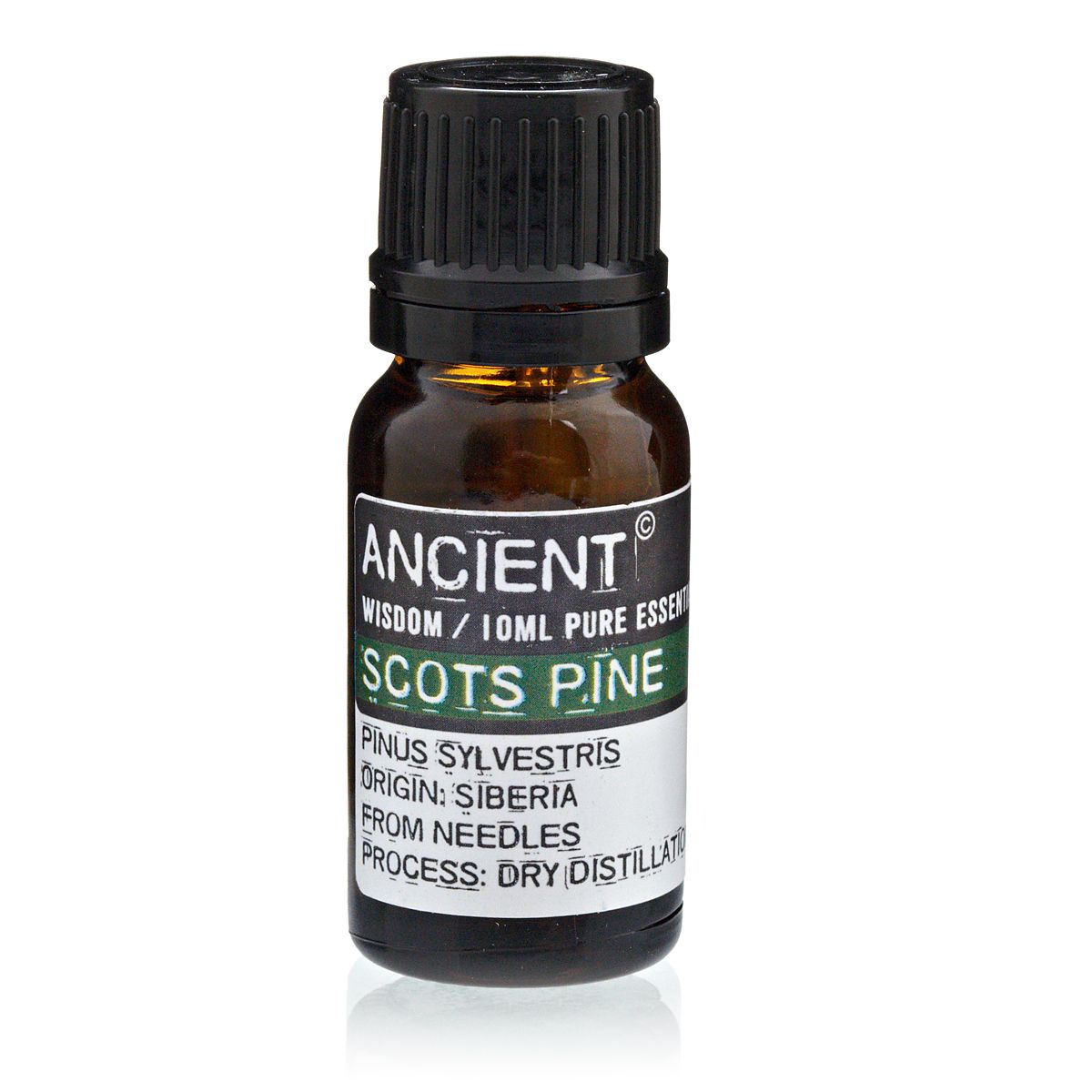 Pine Sylvestris (Scots Pine) Aromatherapy Essential Oil 10ml – product image