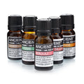Niaouli Aromatherapy Essential Oil 10ml – product image