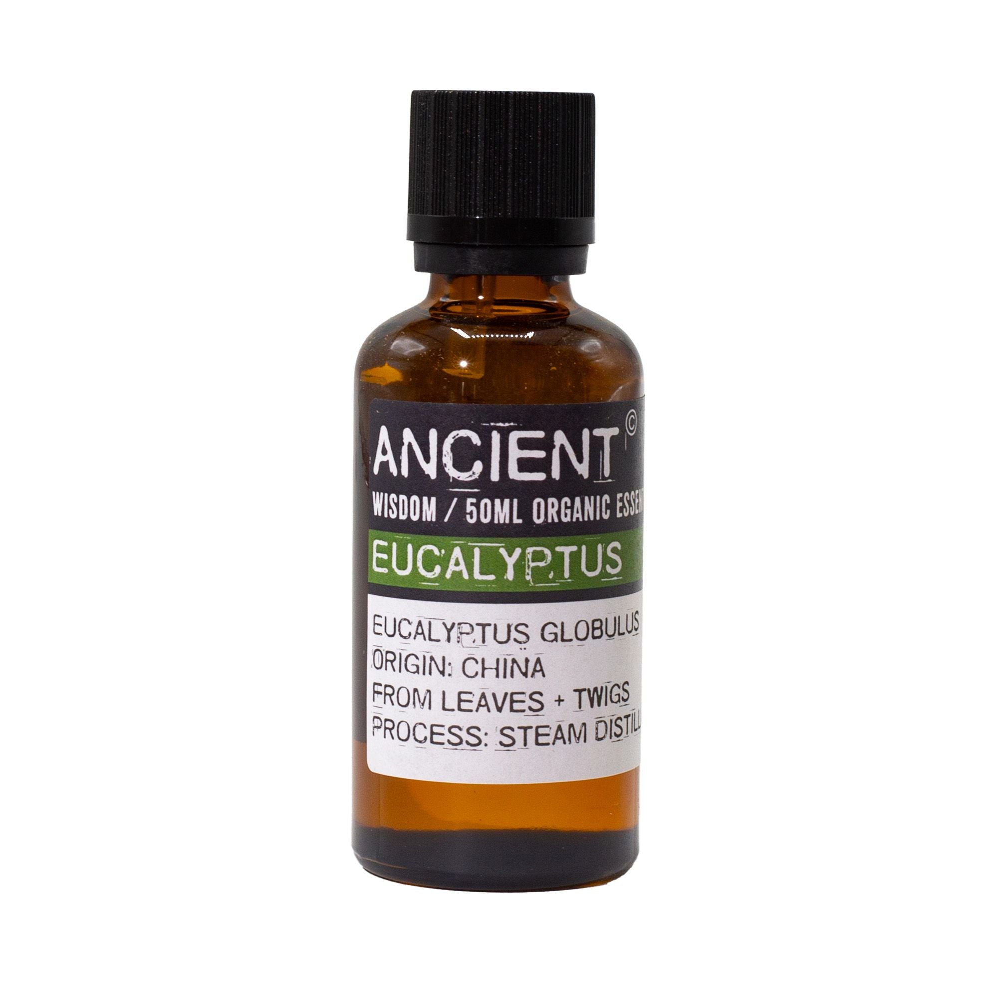 Eucalyptus Aromatherapy Essential Oil 50ml – gallery image 4