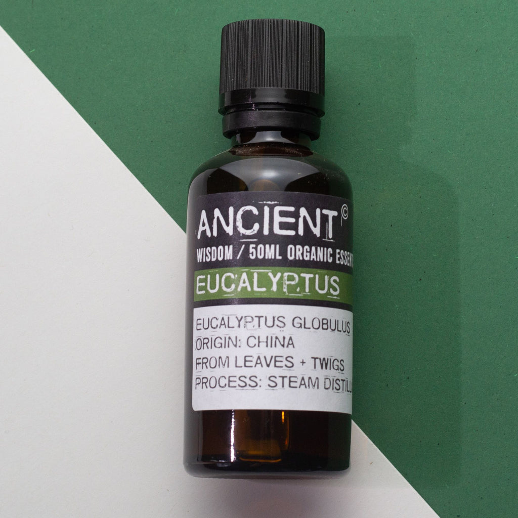 Eucalyptus Aromatherapy Essential Oil 50ml – gallery image 5