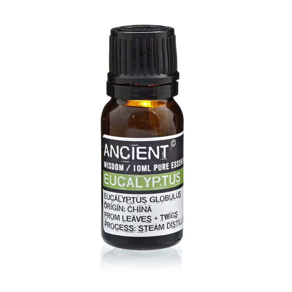 Eucalyptus Aromatherapy Essential Oil 10ml – gallery image 3
