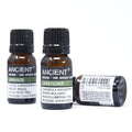 Organic Ginger Aromatherapy Essential Oil 10ml – product image