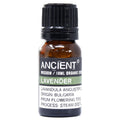 Lavender Aromatherapy Essential Oil 10ml – product image