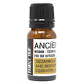 10ml Aromatherapy Car Blend – Family Trip – Car Diffuser – car diffuser, main product view