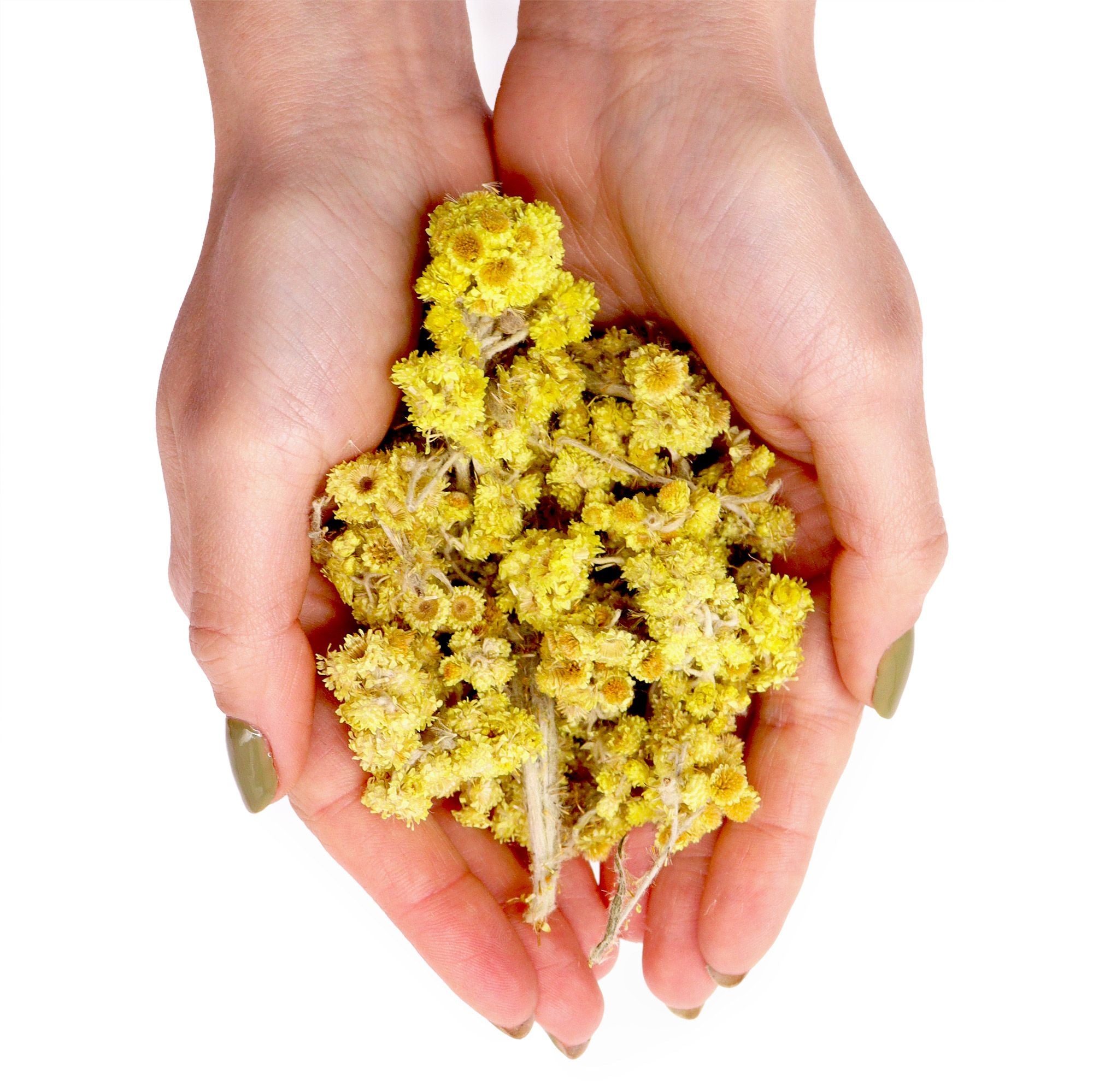 Everlasting Flowers (0.5KG) – Dried Flowers – dried flowers, alternate product view 2