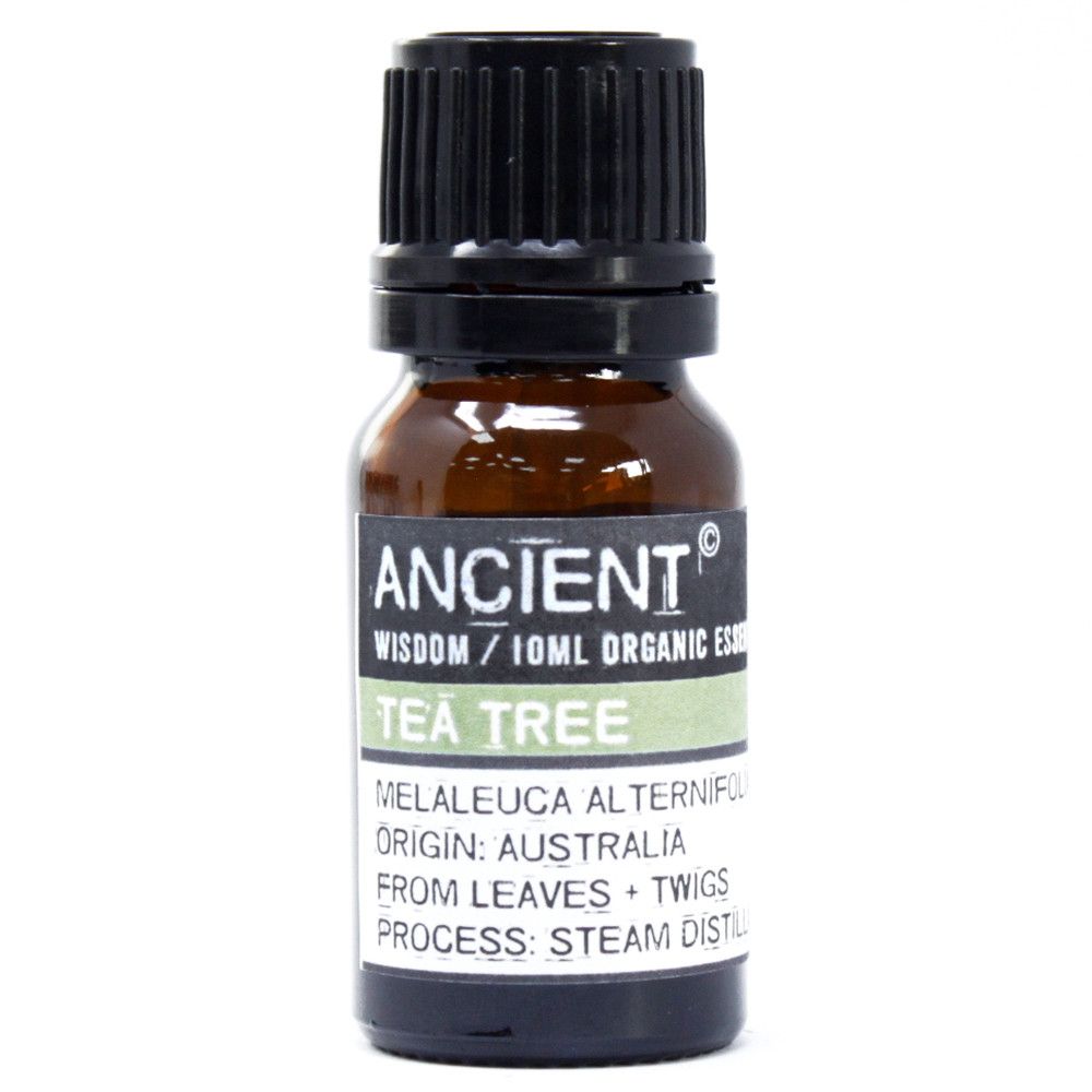 Organic Tea Tree Aromatherapy Essential Oil 10ml – gallery image 2