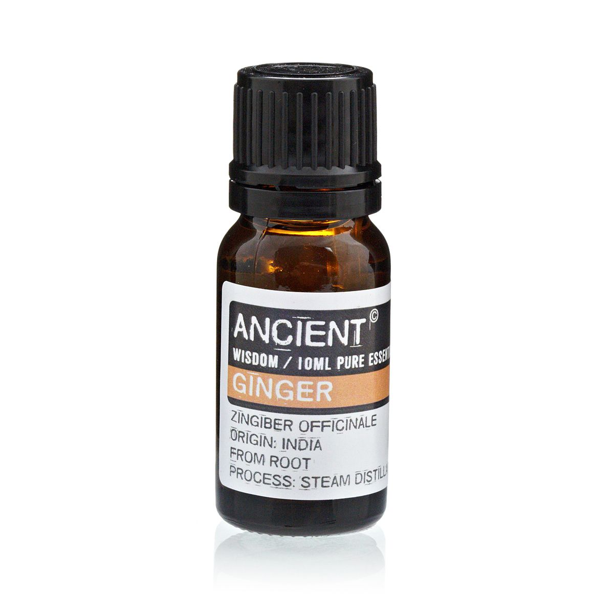 Ginger Aromatherapy Essential Oil 10ml – product image