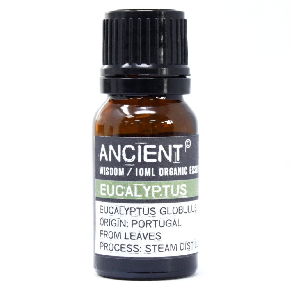 Organic Eucalyptus Aromatherapy Essential Oil 10ml – gallery image 2