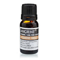 Jasmine Absolute Aromatherapy Essential Oil 10ml – product image