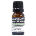 Organic Ylang Ylang Aromatherapy Essential Oil 10ml – product image