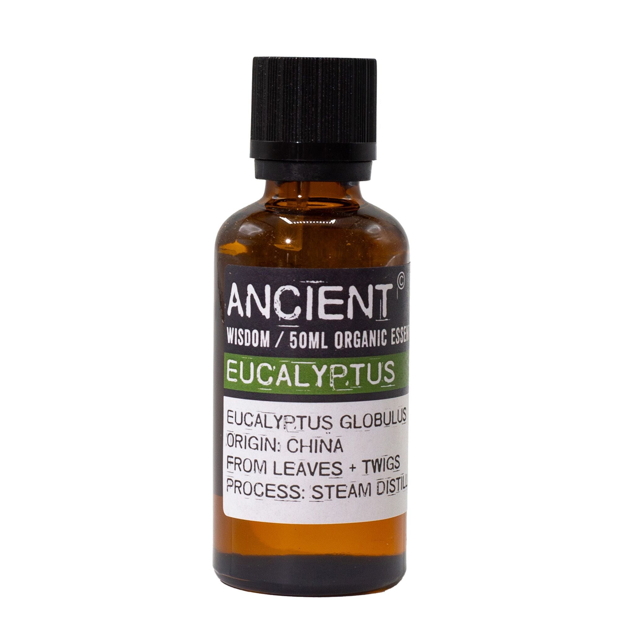 Eucalyptus Aromatherapy Essential Oil 50ml – gallery image 3