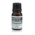 Ravensara Aromatherapy Essential Oil 10ml – product image