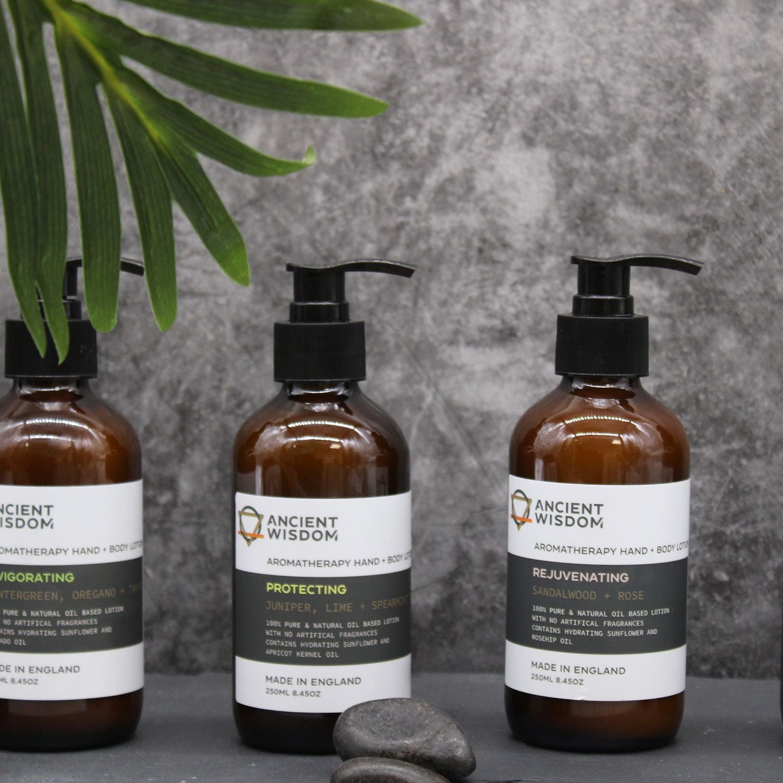 Tangerine, Ylang & Patchouli Hand & Body Lotion 250ml – Hand And Body – hand and body lotion, alternate product view 3