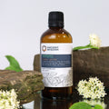 Peppermint Hydrolat 100ml – Floral Water – floral water, main product view