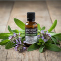 Clary Sage Aromatherapy Essential Oil 50ml – product image