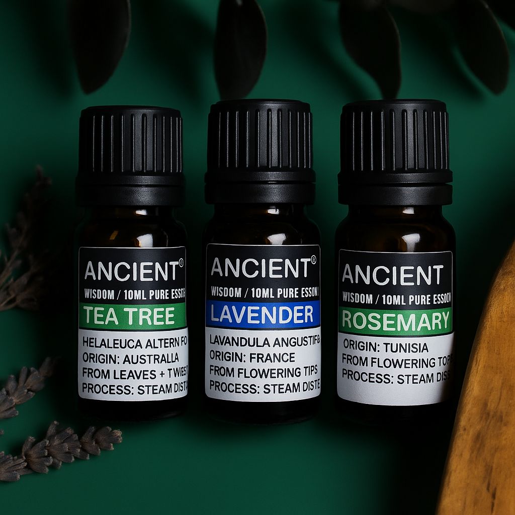Aromatherapy Essential Oil Blend: Set of Lavender, Tea Tree & Rosemary – product image
